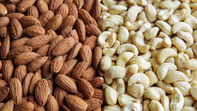 Omega-3 Foods for Recovery: How Healthy Fats Support an Active Body